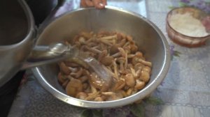 Як Почистити Опеньки,Опеньки 2023,рецепт опеньків,маленькі опеньки,как чистить опята грибы