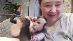 ни секунды покоя #капуцинУльяна #животные #animals #monkey #прикол #funny #babymonkey #сute #pets