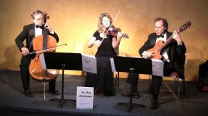 Steve Shurack string trio plays - "Bridal Chorus" by Wagner