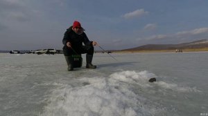 зимняя рыбалка 2023. зимняя рыбалка в Приморском крае. ловля зубаря в Приморье.