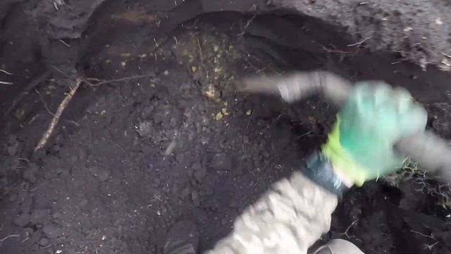 ШУРФ В ЛЕСУ. Продолжаем шурфить место где я нашел КЛАД. Сигналы ещё есть. Коп 2021