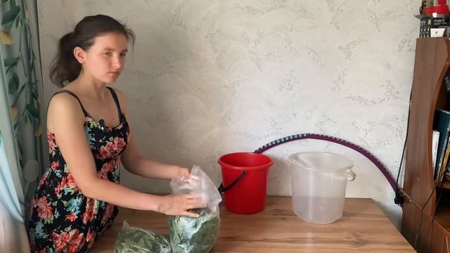 Ферментация Иван чая разными способами