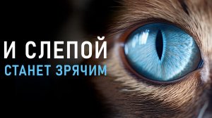 👁🗨ЗРЕНИЕ Улучшится после Первого Просмотра | Исцеляющая Медитация