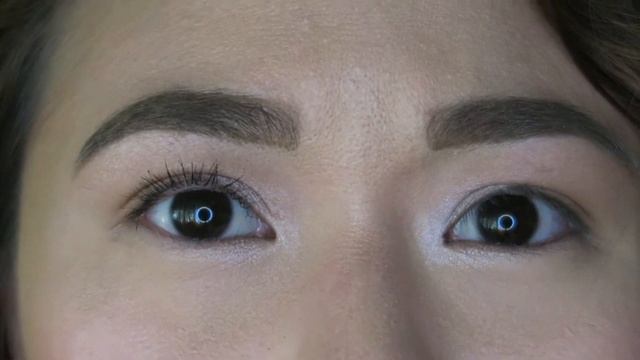 L'oreal Voluminous Lash Paradise Mascara FIRST IMPRESSION REVIEW - Paula Angelica Vlogs смотреть онлайн