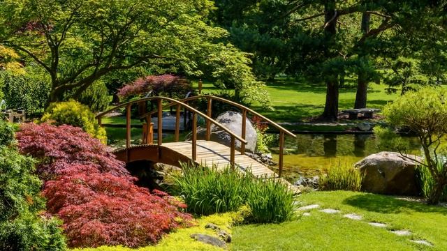 Музыка для души! Дудук! смотреть онлайн