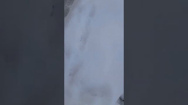 крайний снег 24.02.21  Чирчик смотреть онлайн