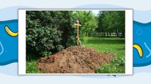 Стас Барецкий - клоун или бандит? | кто он на самом деле | Смысл Смылся