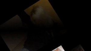 Девушки из высшего общества  Ремикс