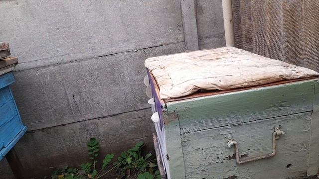 Ленивый пчеловод. Чего зимой боятся пчелы. Кому выгодно утепление смотреть онлайн