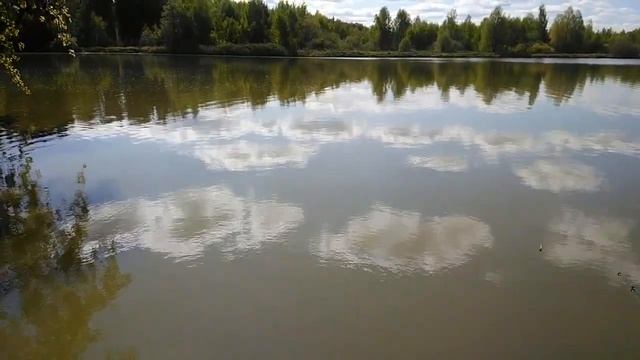 На озере. Дачные картинки 2023. смотреть онлайн