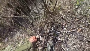 Словил рыбу мутанта в реке Припять. Рыбалка в Чернобыле. Что делает радиация с животными