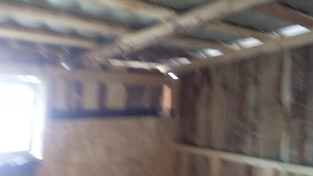 Пристрой к сараю. Что нового?