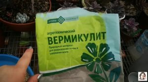 Вермикулит - обзор и различие