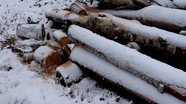 Тест электрической цепной пилы Калибр.