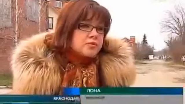 Сначала пса забрали из приюта, а потом бросили умирать смотреть онлайн