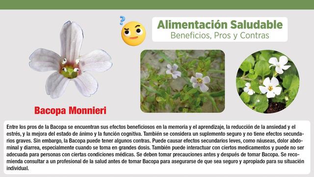 💚 BACOPA | Alimentación Saludable | @Alimentacions | Beneficios, Pros y Contras 📚 смотреть онлайн