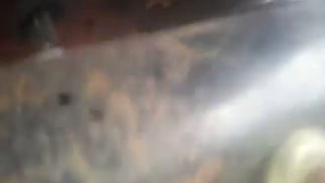 Тесд-драйв мотороллера " Муравья" 2м смотреть онлайн