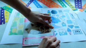 DIY СНОВА В ШКОЛУ | 3 Легких диайвай для каждого | Back To School