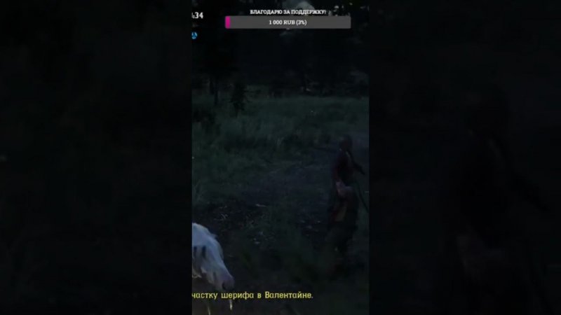 Носим женщин на руках.Red Dead Online.