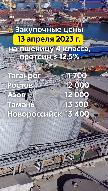 Закупочные цены 13/04/2023г. на пшеницу 4 класса (протеин ≥ 12,5%) в портах Азовского и Чёрного моря