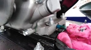 замена масла на мотособаке