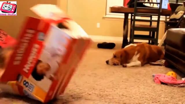 Классные детские приколы. Часть 4 смотреть онлайн