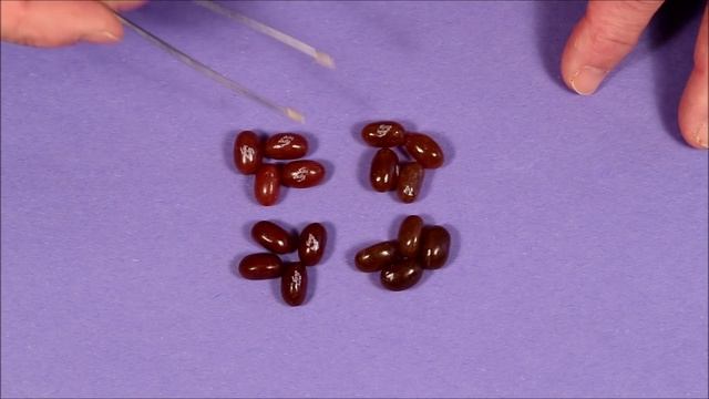 How To Sort Jelly Belly Jelly Beans смотреть онлайн