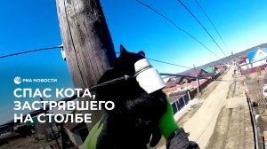 Спасли кота, застрявшего на столбе