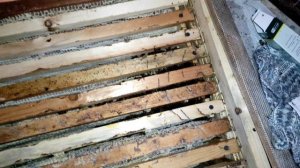 Контроль зимовки в апидомике, апидомик в Сибири