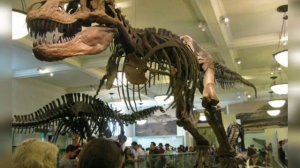 Правила поведения в музее.