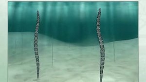 Размножение многоклеточной зеленой водоросли улотрикса/Çoxhüceyrəli yaşıl yosun ulotriksin çoxalmas