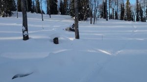 Вариатор Арктик + гусеницы Полярник на Буран