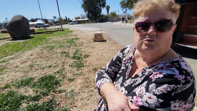 Улицы северного Израиля. Древние Скульптуры из базальта. Прогулка по даче. Влог /Путешествия /Жизнь смотреть онлайн