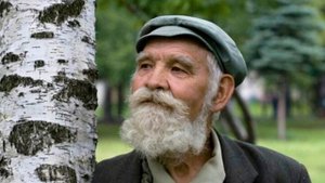 Магия деревьев: как определить «своё» растение, какое дерево даст энергию, а какое отберёт