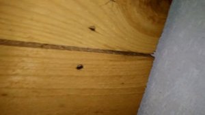 Привод для двух секционных подъемных ворот своими руками.