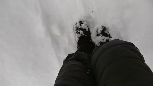 Дела наутренние, после снегодождепада. 4.2.21. Адамовка. смотреть онлайн