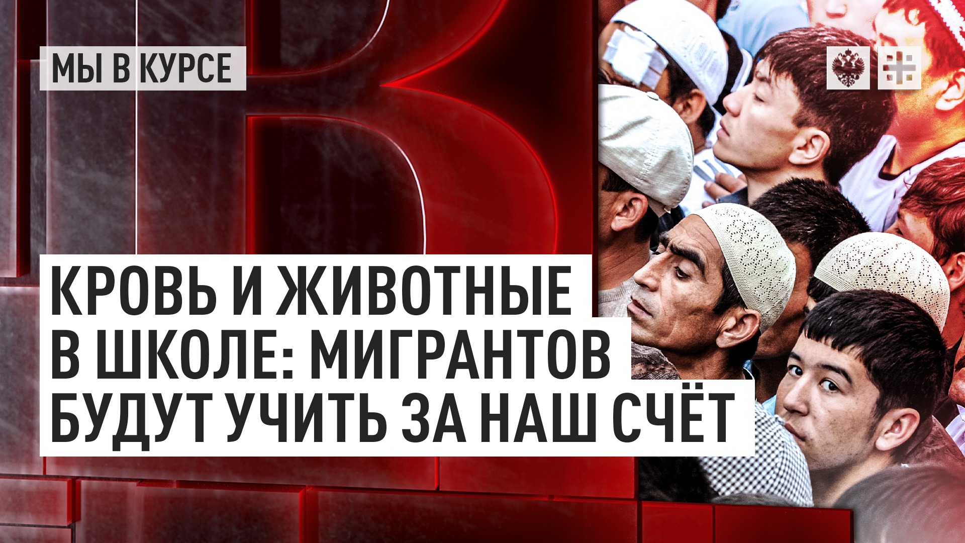 Кровь и животные в школе: Мигрантов будут учить за наш счёт