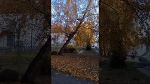 Отдых в санатории Прометей(Рязанская обл, Пронский р-н)