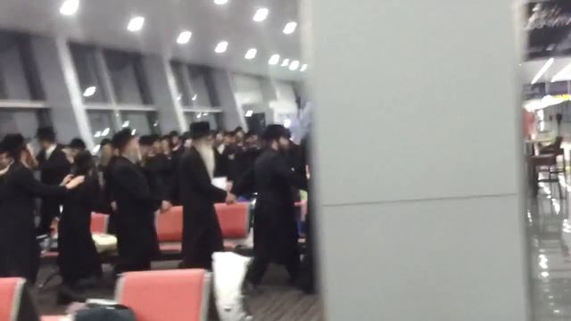 Хасиды в аэропорту Борисполь