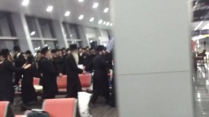 Хасиды в аэропорту Борисполь