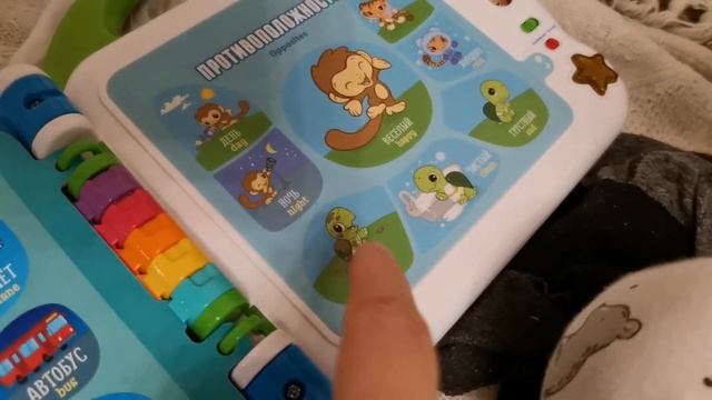 Разочарование?Детский англо-русский словарик VTech