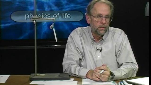 Physics of Life - Fun with Youngs Modulus смотреть онлайн