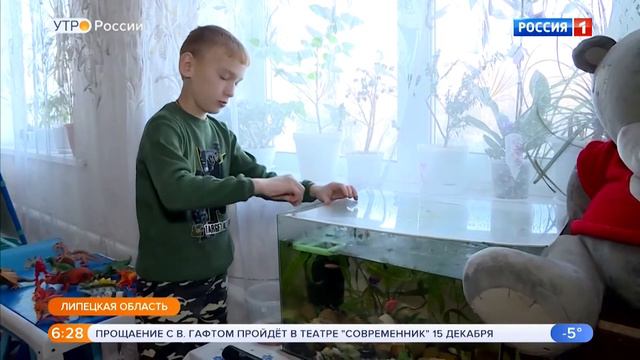 Выплаты семьям с детьми, социальное казначейство. Нацпроект «Демография»