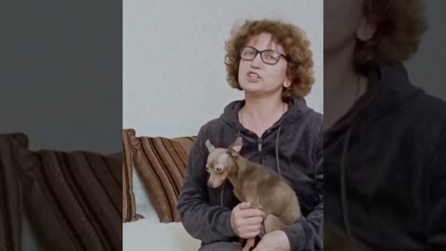 Как приучить щенка к пеленке. Часть 2 смотреть онлайн