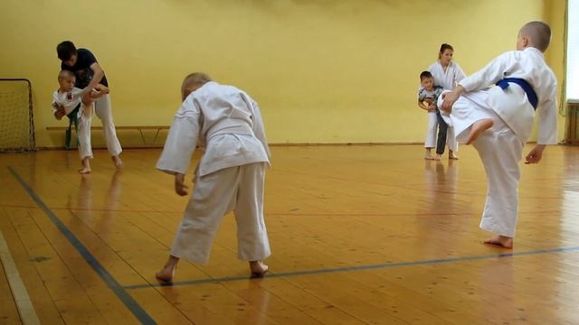 Карате до Сётокан Токукай  - отличная гимнастика для комплексного развития ребёнка