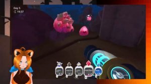 Slime rancher 2/18/2023