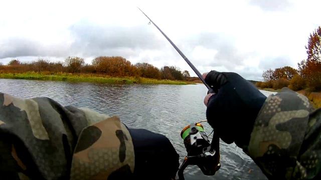 Осенний брянский красавец окунь 2023 . Хорошая рыбалка , часть 1 . смотреть онлайн