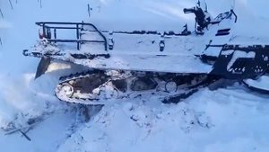 Встрял рысь 119