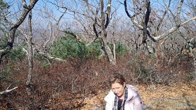 Самоварка,  поселок Тимофеевка, Приморский край