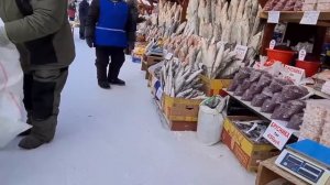 COLDEST market on Earth. everything is deep frozen!